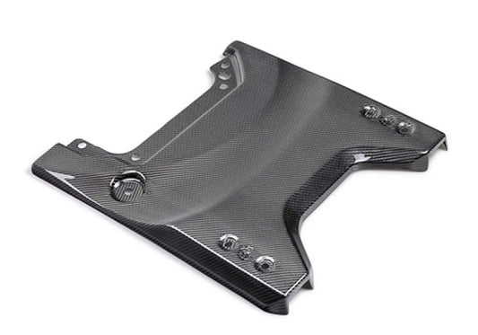 Ford Racing 22-24 Bronco Raptor Carbon Fiver Tailgate Applique - Gloss M-16600-BG