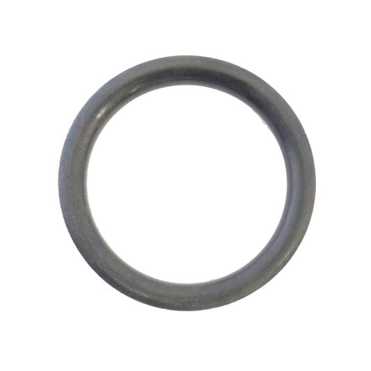 Athena Harley-Davidson Sportsters Fuel Cap O-Ring - Set of 10 S410195138001