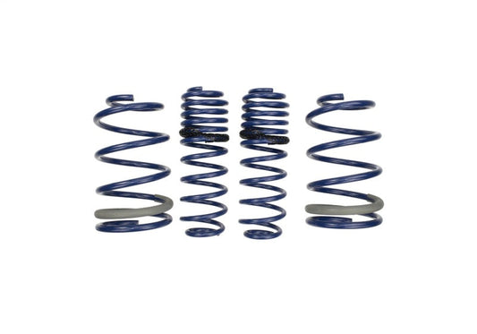 Ford Performance Parts Ford Racing 2005-2014 Mustang GT 1.0in. Track Lowering Springs