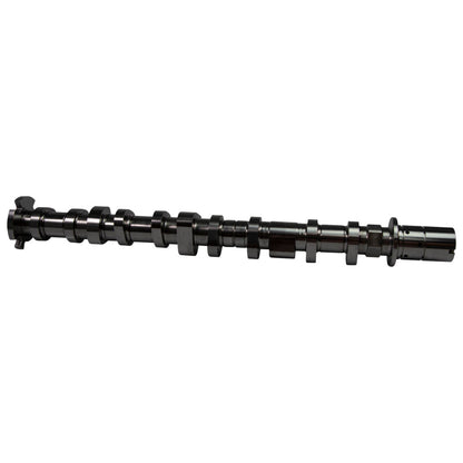 COMP Cams Camshaft Set 2018+ Ford Coyote 5.0L STG1 NST Thumper 433700CPG