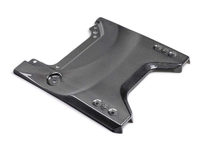 Ford Racing 22-24 Bronco Raptor Carbon Fiver Tailgate Applique - Gloss M-16600-BG