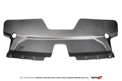 AMS Performance Infiniti 17+ Q60 / 16+ Q50 3.0TT Alpha Matte Carbon Front Duct ALP.28.06.0002-1