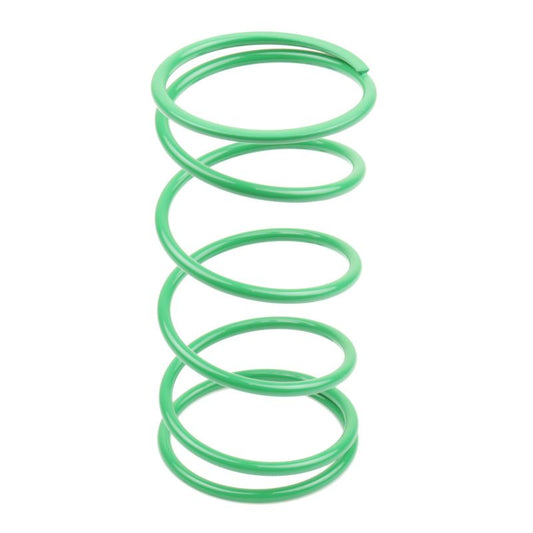 Athena BSV DIO GP 50 25Kg Green Contrast Spring (Bore 50mm) 070496