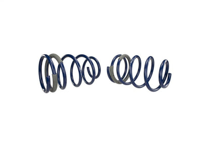Ford Performance Parts Ford Racing 2005-2014 Mustang GT 1.0in. Track Lowering Springs