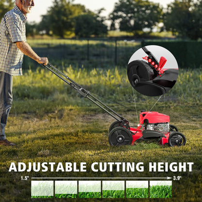 PowerSmart 21'' 144cc Gas Push 2-in-1 Lawn Mower V8721C