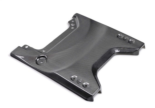 Ford Racing 22-24 Bronco Raptor Carbon Fiver Tailgate Applique - Gloss M-16600-BG