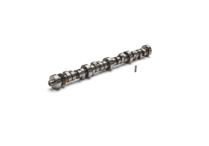 Ford Performance Parts Ford Racing Small Block V-8 Hydraulic Roller Tappet — 8O0D7