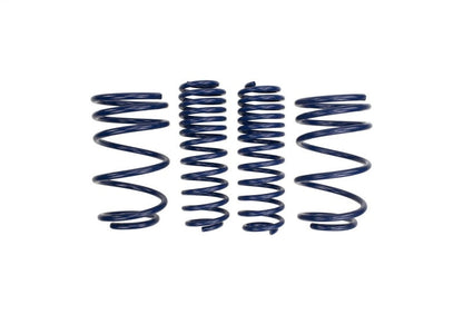 Ford Performance Parts Ford Racing 2007-2014 Mustang Shelby GT500 Springs