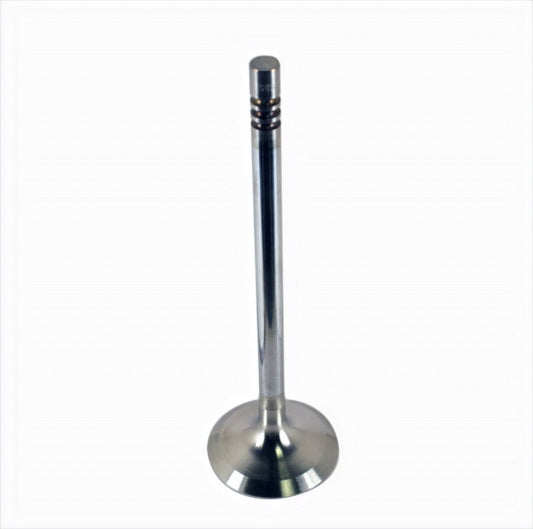 Ford Racing Coyote 5.2L Lightweight Exhaust Valve - Set of 8 M-6505-M52
