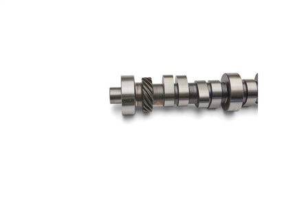 Ford Performance Parts Ford Racing Small Block V-8 Hydraulic Roller Tappet — 8O0D7