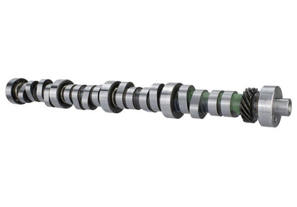 Ford Performance Parts Ford Racing Small Block V-8 Hydraulic Roller Tappet — 8O0D4