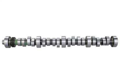 Ford Performance Parts Ford Racing Small Block V-8 Hydraulic Roller Tappet — 8O0D4
