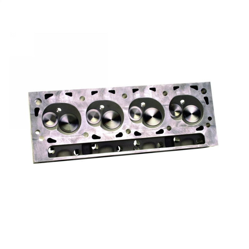 Ford Performance Parts Ford Racing Super Cobra Jet Cylinder Head Assembled with Dual