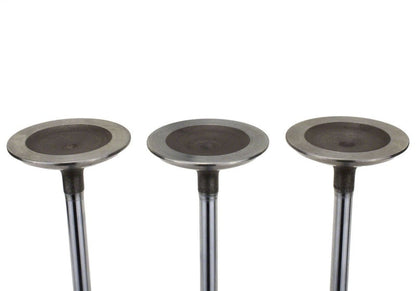 Ford Racing Coyote 5.2L Lightweight Intake Valve - Set of 8 M-6507-M52