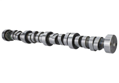 Ford Performance Parts Ford Racing Small Block V-8 Hydraulic Roller Tappet — 8O0D4