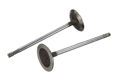 Ford Racing Coyote 5.2L Lightweight Intake Valve - Set of 8 M-6507-M52