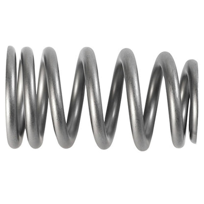 Ford Performance Parts Ford Racing PAC 1219X Valve Spring - Single (for M-6049-Z304DA)