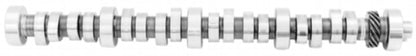 Ford Performance Parts Ford Racing Small Block V-8 Hydraulic Roller Tappet — 8O0D4