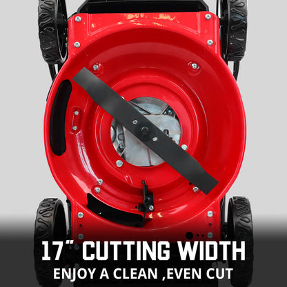 PowerSmart 17" 144cc Gas Push 3-in-1 Lawn Mower DV8618P/V8617P