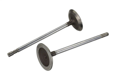 Ford Racing Coyote 5.2L Lightweight Intake Valve - Set of 8 M-6507-M52