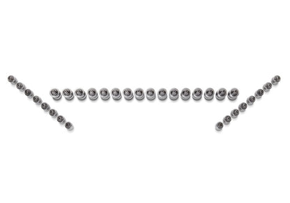 Ford Performance Parts Ford Racing Ford GT and Mustang SVT 5.4L Lash AdjusterS