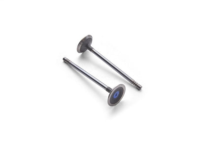 Ford Racing Coyote 5.2L Lightweight Exhaust Valve - Set of 8 M-6505-M52