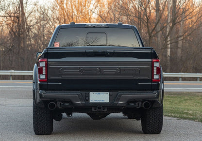 Ford Racing 21-24 Ford F150 Raptor Carbon Fiber Tailgate Panel - Gloss M-16600-FG