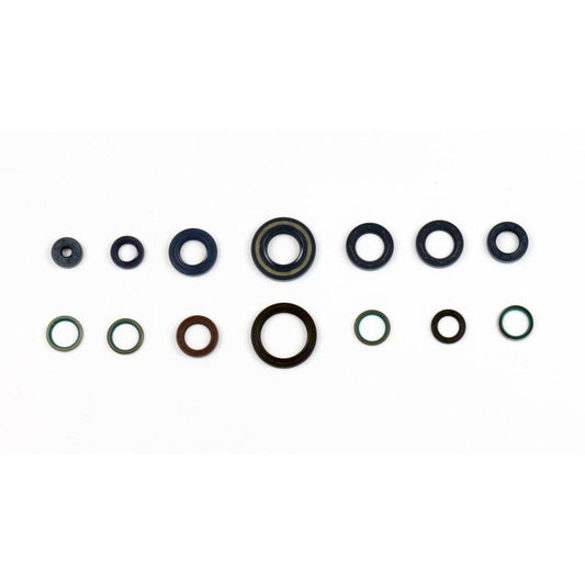 Athena 95-97 Ducatii 400 Engine Oil Seal Kit P400110400101