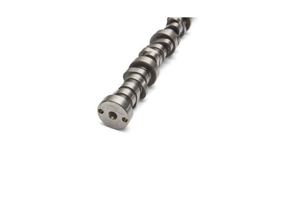 Ford Performance Parts Ford Racing Small Block V-8 Hydraulic Roller Tappet — 8O0D7