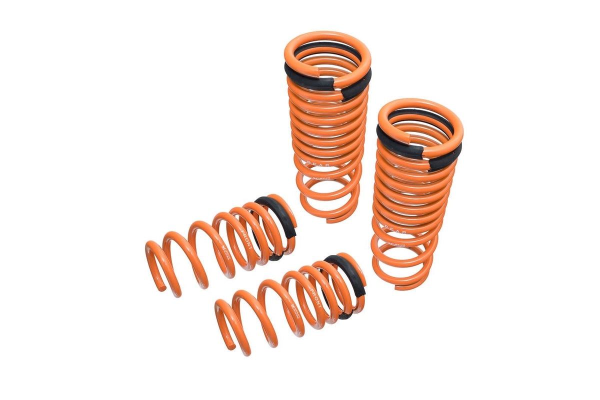 Megan Racing Lowering Springs for Nissan GT-R 2009-2018 - Mr-Ls-NR35
