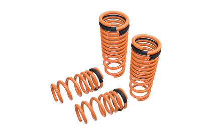 Megan Racing Lowering Springs for Nissan GT-R 2009-2018 - Mr-Ls-NR35